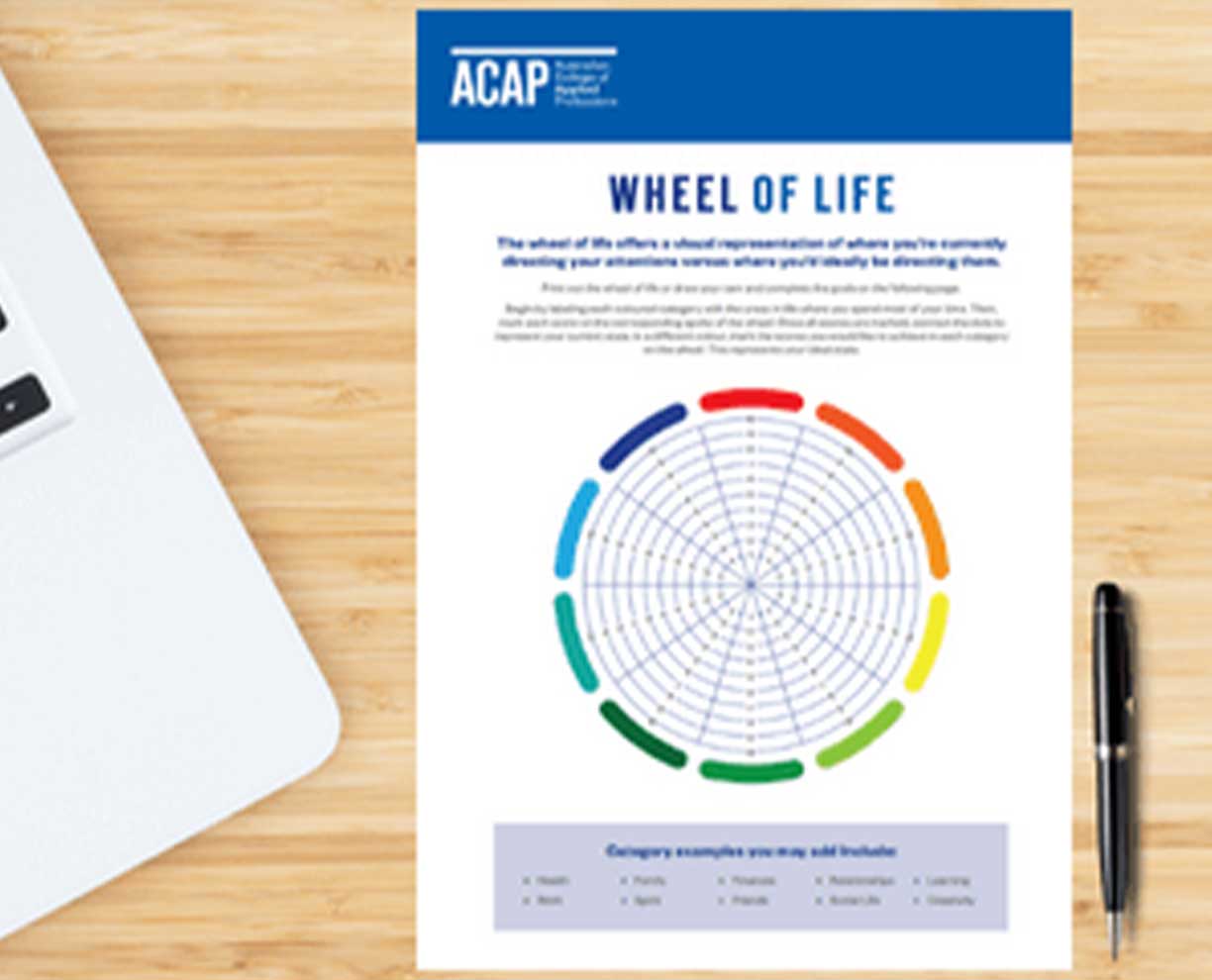 Image of paper image with words Wheel of Life